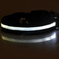 Nylon LED Pet Dog Luminous Collar Night Safety