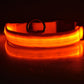 Nylon LED Pet Dog Luminous Collar Night Safety