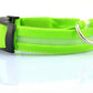Nylon LED Pet Dog Luminous Collar Night Safety
