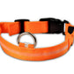 Nylon LED Pet Dog Luminous Collar Night Safety
