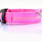 Nylon LED Pet Dog Luminous Collar Night Safety