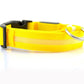 Nylon LED Pet Dog Luminous Collar Night Safety