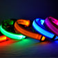 Nylon LED Pet Dog Luminous Collar Night Safety
